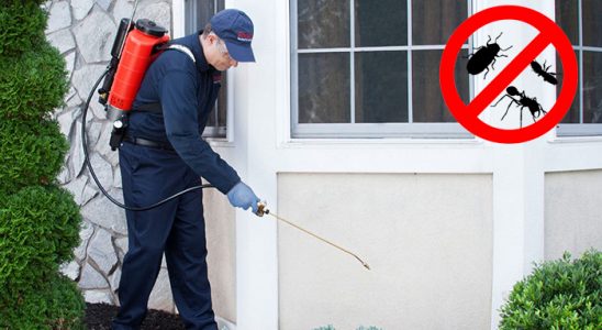 Derepazarı Uçan Haşere İlaçlama böcek ilaçlama ve haşere kontrolü — ilaclama-tr.com